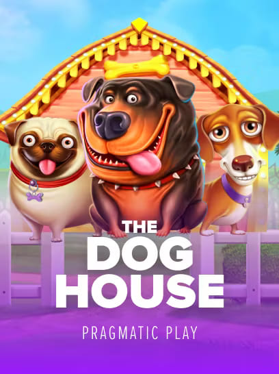 Provo The Dog House dhe ndjej lezetin e çdo spini